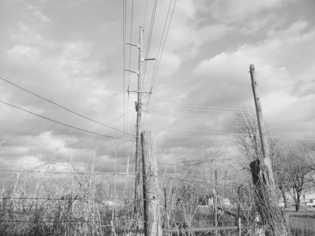 Rainbow kitty_ nice pornstar picture