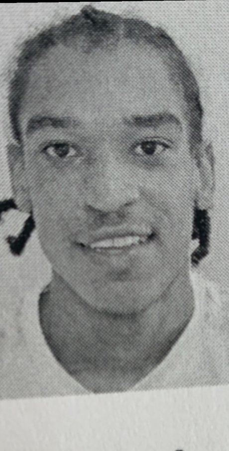 XXDingoDick nude pornstar archive