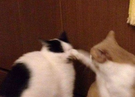 Ram Ranch CEO art actress picture