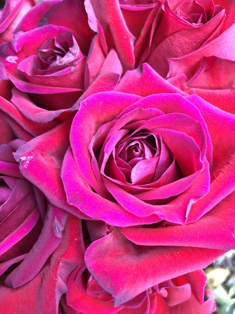 Kay Mella nude star pic