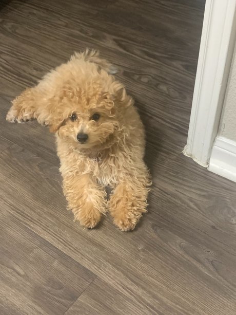 Fly man_ naked pornstar pictures