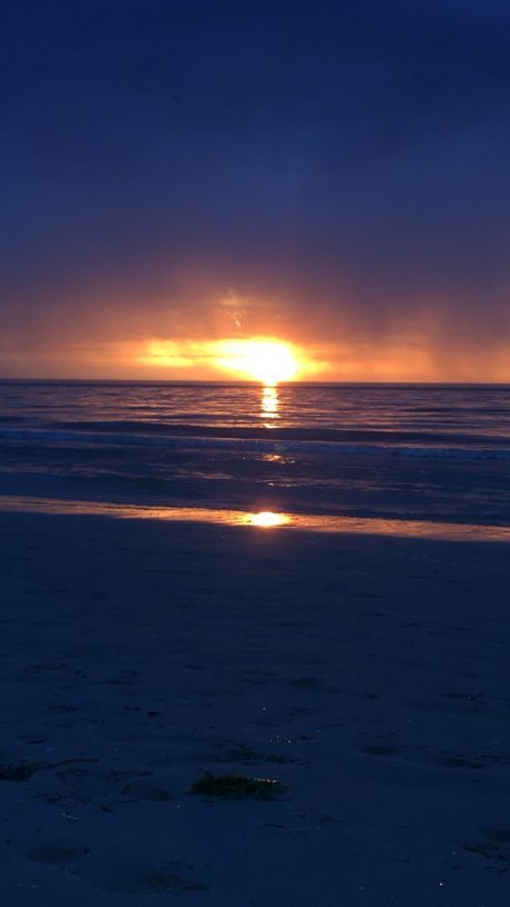 Disturbed princess_ free star photo