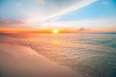 What The Feet_ star adult image