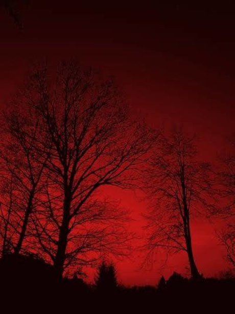 Exclusive K pornstar perfect archive