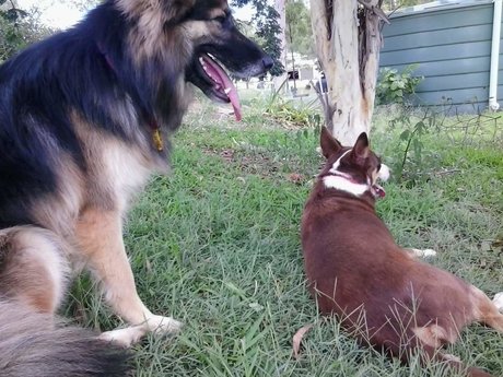 Kairu model adult pics