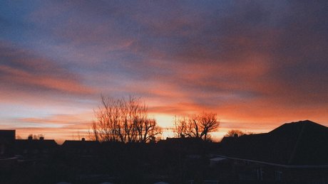 peter pan beautiful star picture