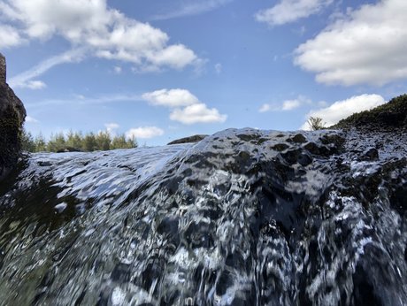 Rich Rowe free pornstar picture