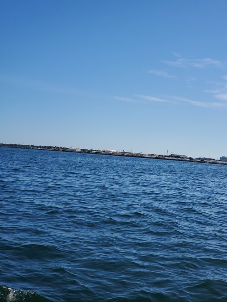 Bill that guy and oh my_ pretty pornstar img