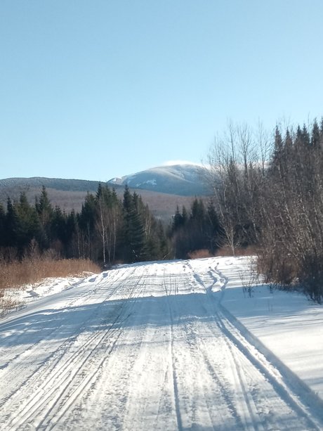 Rhemm pornstar nice img