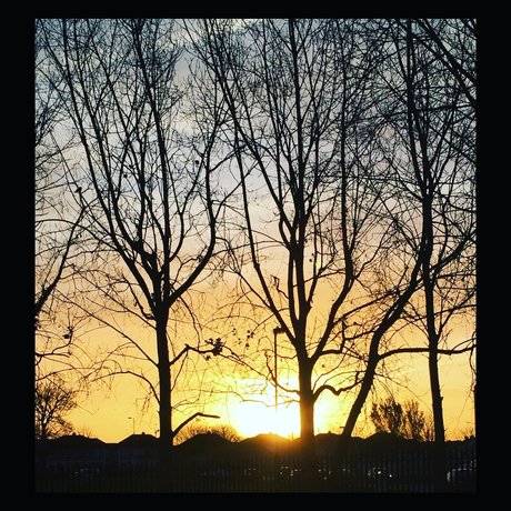 RevolutionBlues pornstar nude pictures