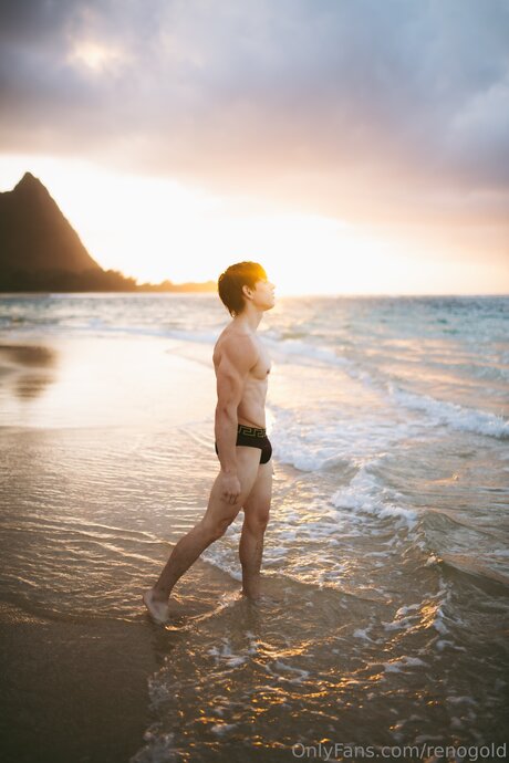 Reno Gold_ model nice archive