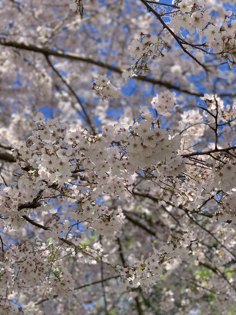 Queen feet pretty pornstar pics