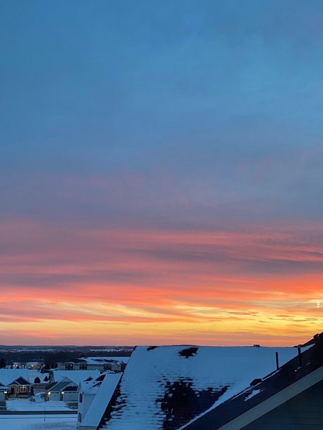 _Reece_ naked actress pictures