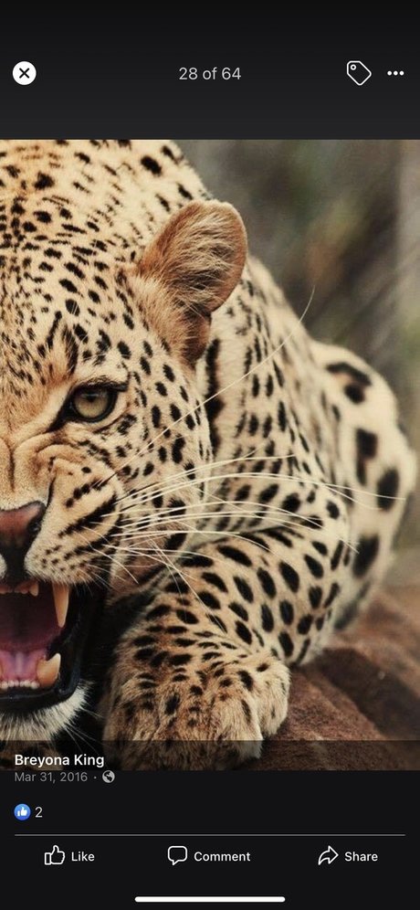 Life with RedRose pretty pornstar images