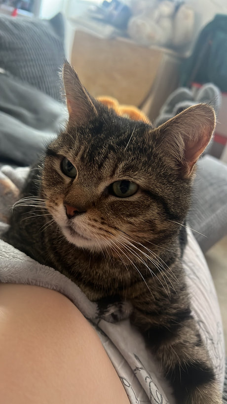 RedHairedKitten best pornstar img