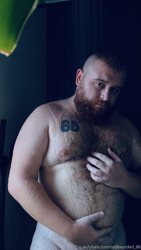 RedBearded star pornographic image