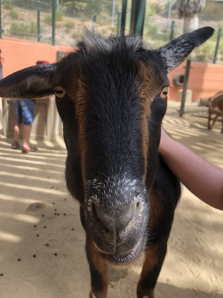 Couple Adventures model nice pic