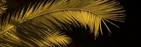 milf cosplay onlyfans beautiful nude photos