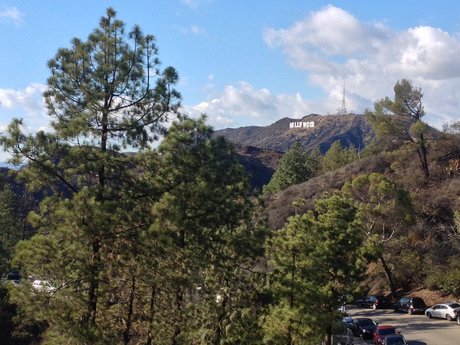 Robbie Yuma_ pornstar best pic