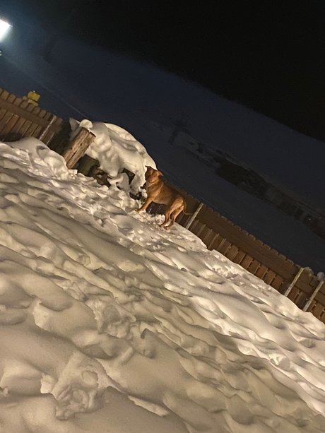 Riiim6 free actress picture