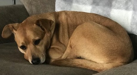 Eric Mel hot actress pics