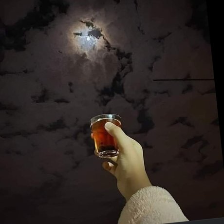 Gata model adult images