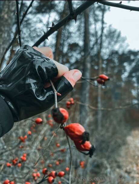 rubber tulip pornstar art gallery