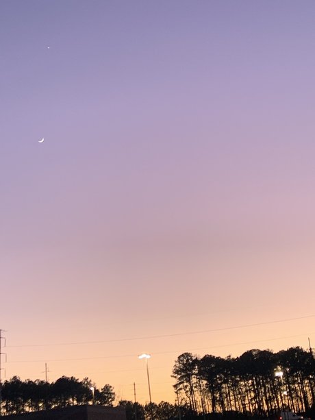 Roxanne Trixxx high quality model images