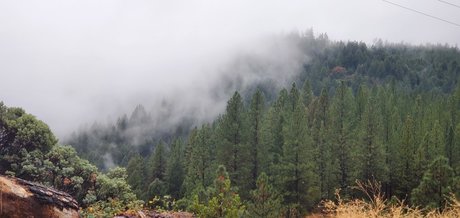 Rosey Thorns top model photos