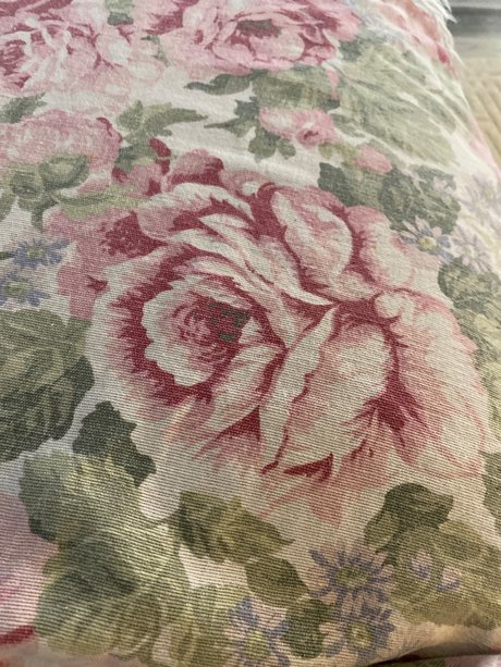 u18031372 nude pornstar picture