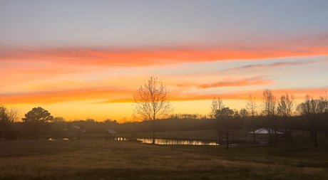 Rose Ink hd pornstar img