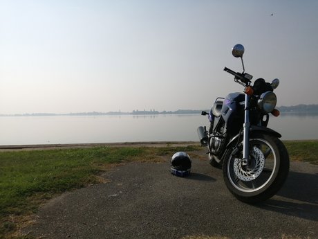 Samuel Marton pornstar pretty pics