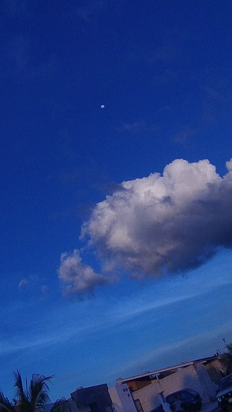 Blue Sky model art photos