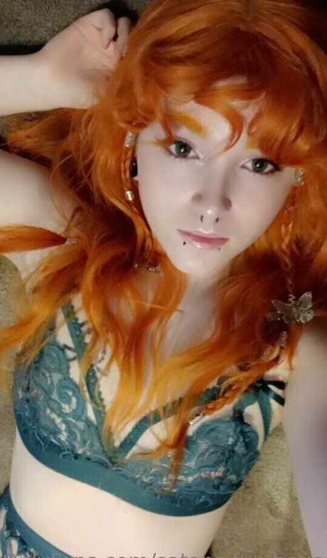 satans fun house high quality star galleries