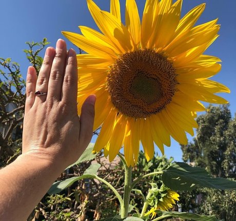 chubbychunky sexy star images