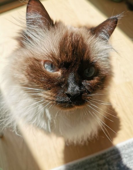 pregnant xxx onlyfans naked pics