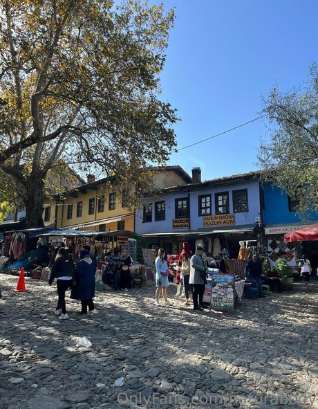 mervedamla art model picture