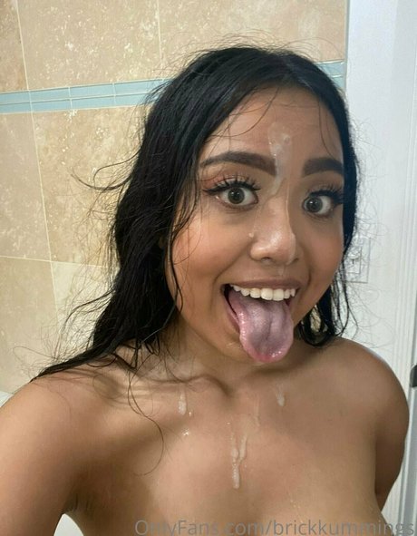 brickkummings high quality model galleries