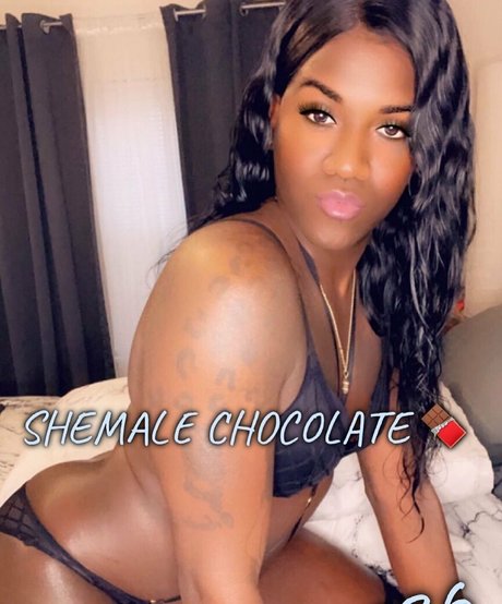 transsohot Quick model image