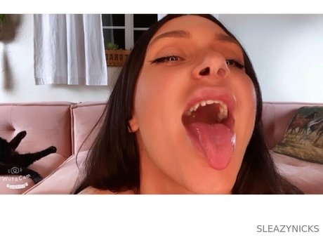 ladyboy onlyfans nudes images