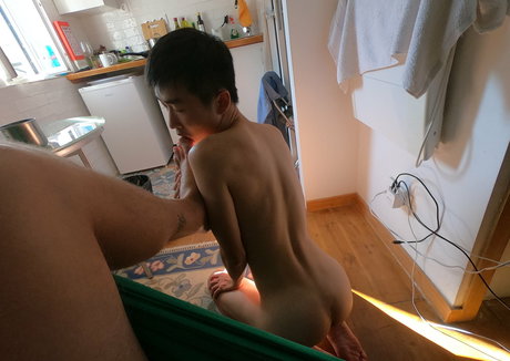 stallion bunny erotic pornstar gallery