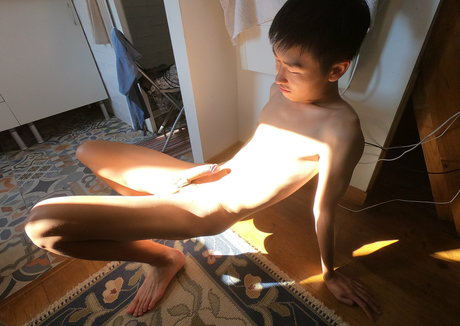 stallion bunny exclusive pornstar image