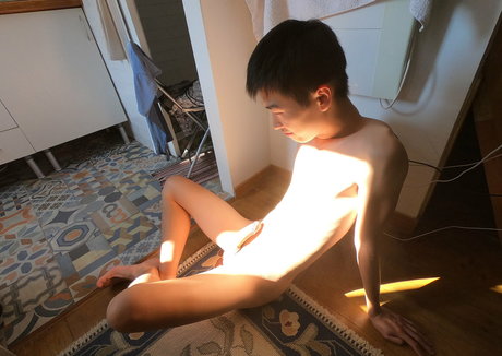 stallion bunny nudes pornstar pictures