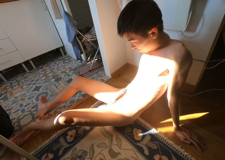 stallion bunny star perfect picture