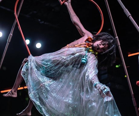 The Sativa Shakespeare star hd photos