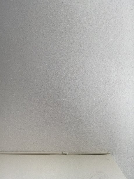 Sassy Kat exclusive pornstar archive