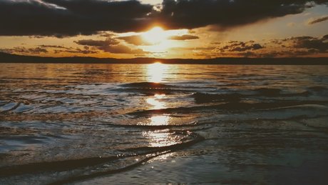 Saria Eden pornstar adult photo