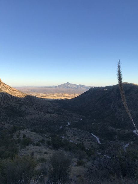 Ethan Matthew pornographic actress gallery