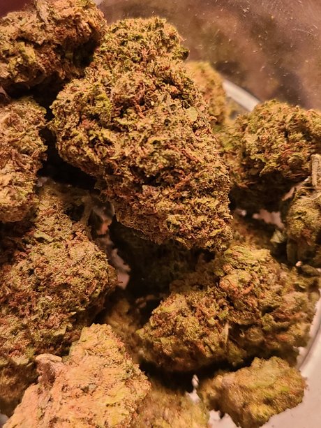 riding dildo onlyfans free sex images