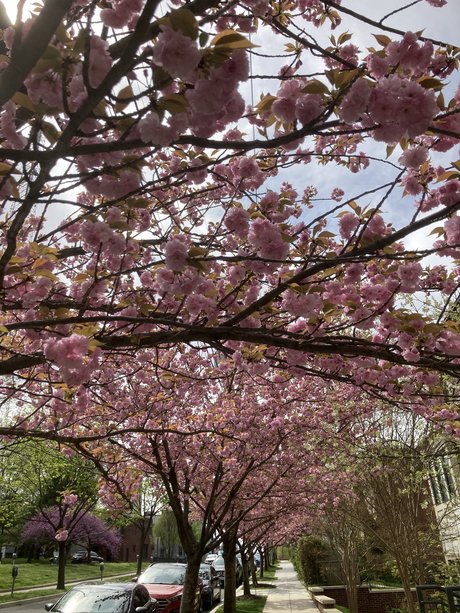 Riley Leigh pornstar nude pics